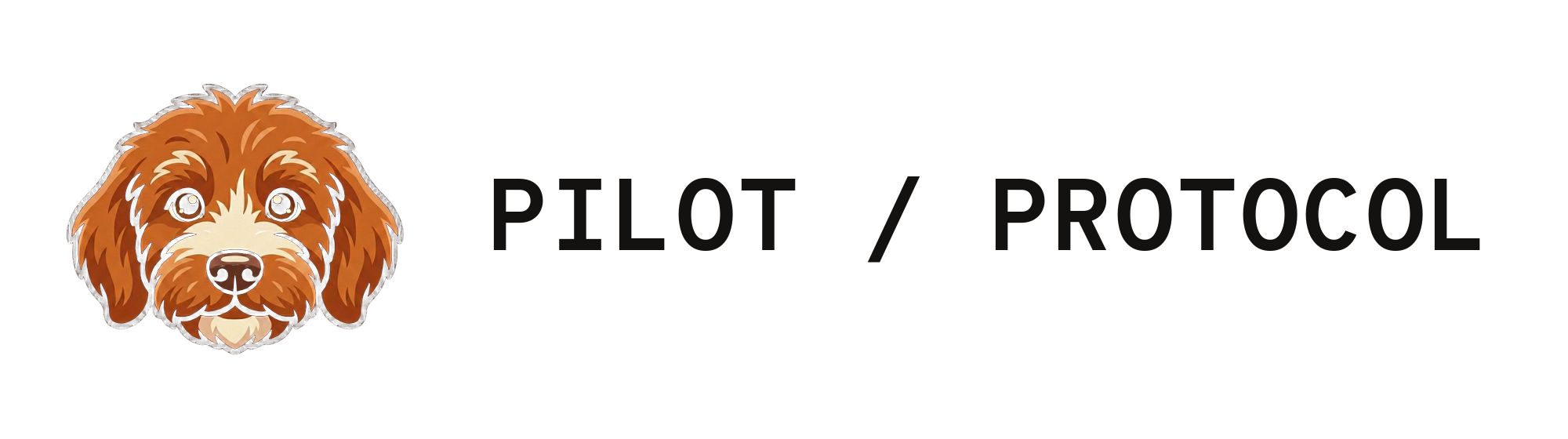 Pilot Protocol